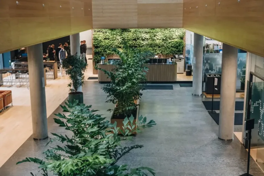 Få naturen ind på kontoret med planteservice i Vejle