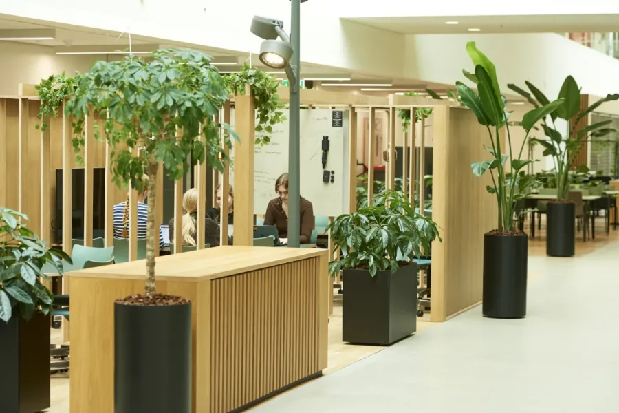 Skab grønne rammer med professionel planteservice i Odense