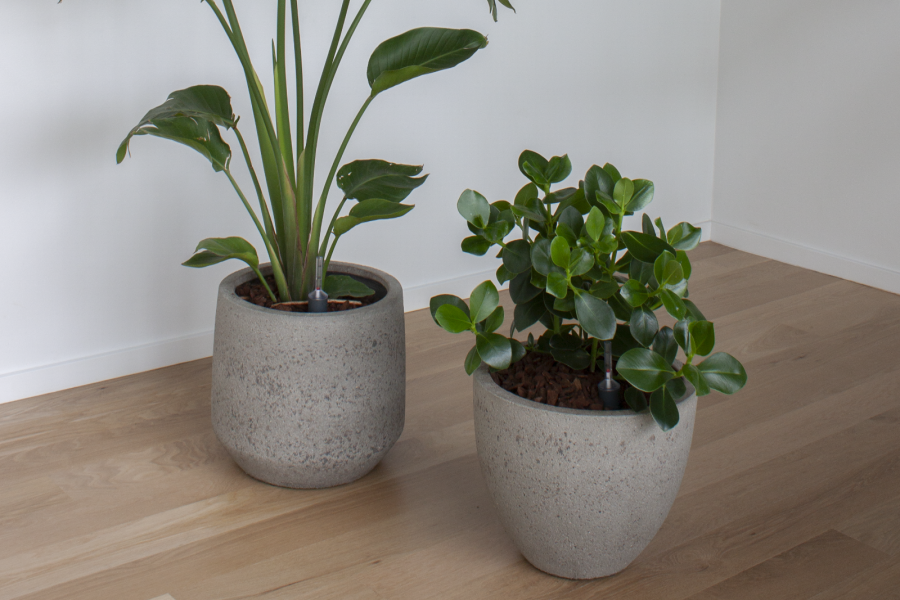 Lej krukker og planter