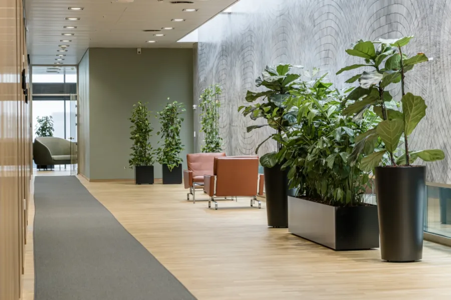 Plantekoncepter tilpasset branche og behov