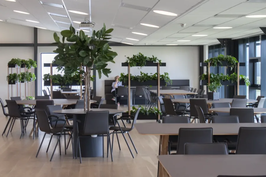 Sådan styrker planter jeres arbejdsplads i Vejle
