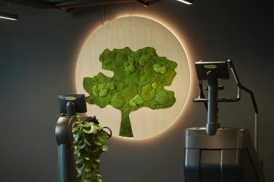 Plantevægge med funktion og wow-effekt