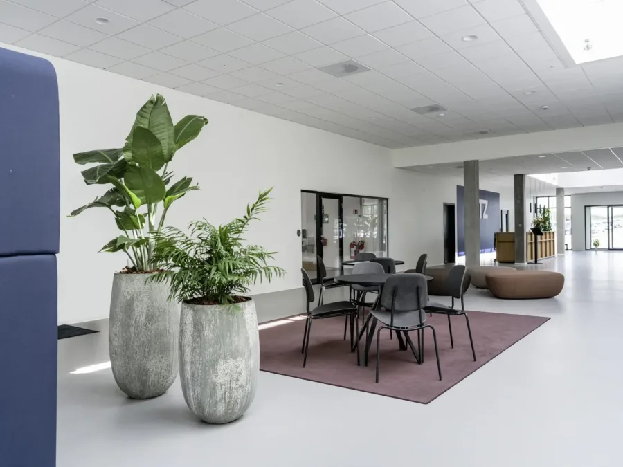 Kontorbeplantning til erhverv