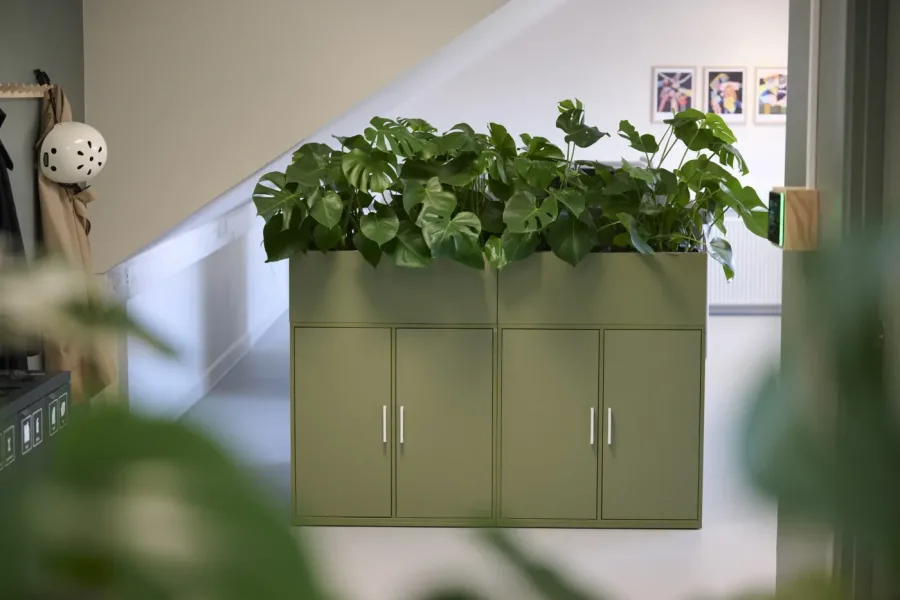 Skræddersyede løsninger til indendørs beplantning