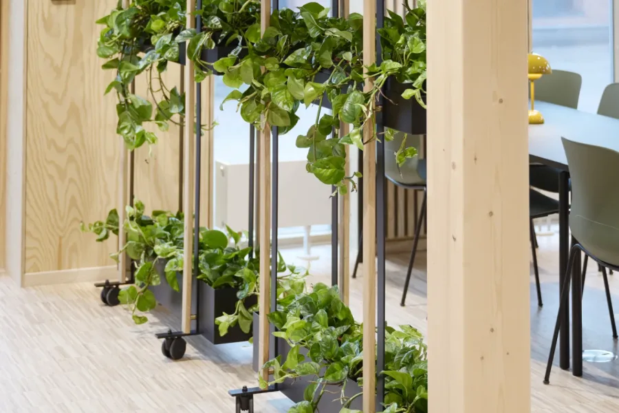 Leje eller køb af planter – fleksible løsninger på jeres præmisser