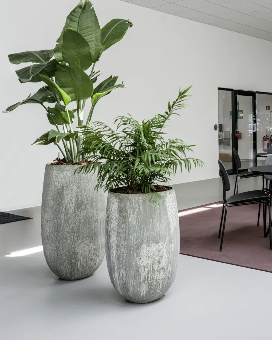 Start med jeres behov og arbejdsplads