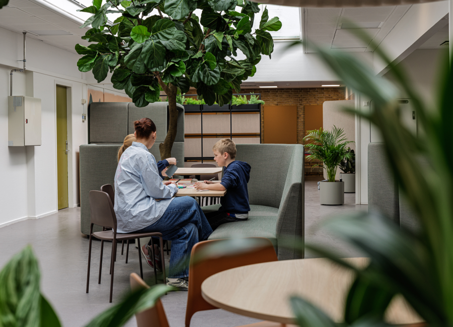Planter til hele skolen