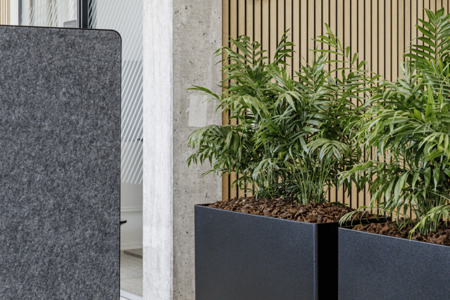 Planter som en del af kontorindretningen